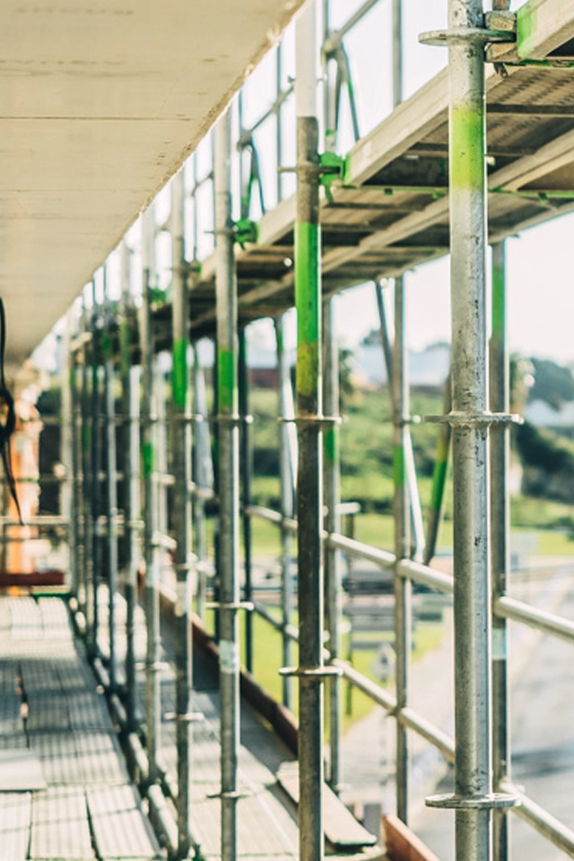 Andaimes - Género Inédito